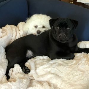 Meet your Posher, Margaret